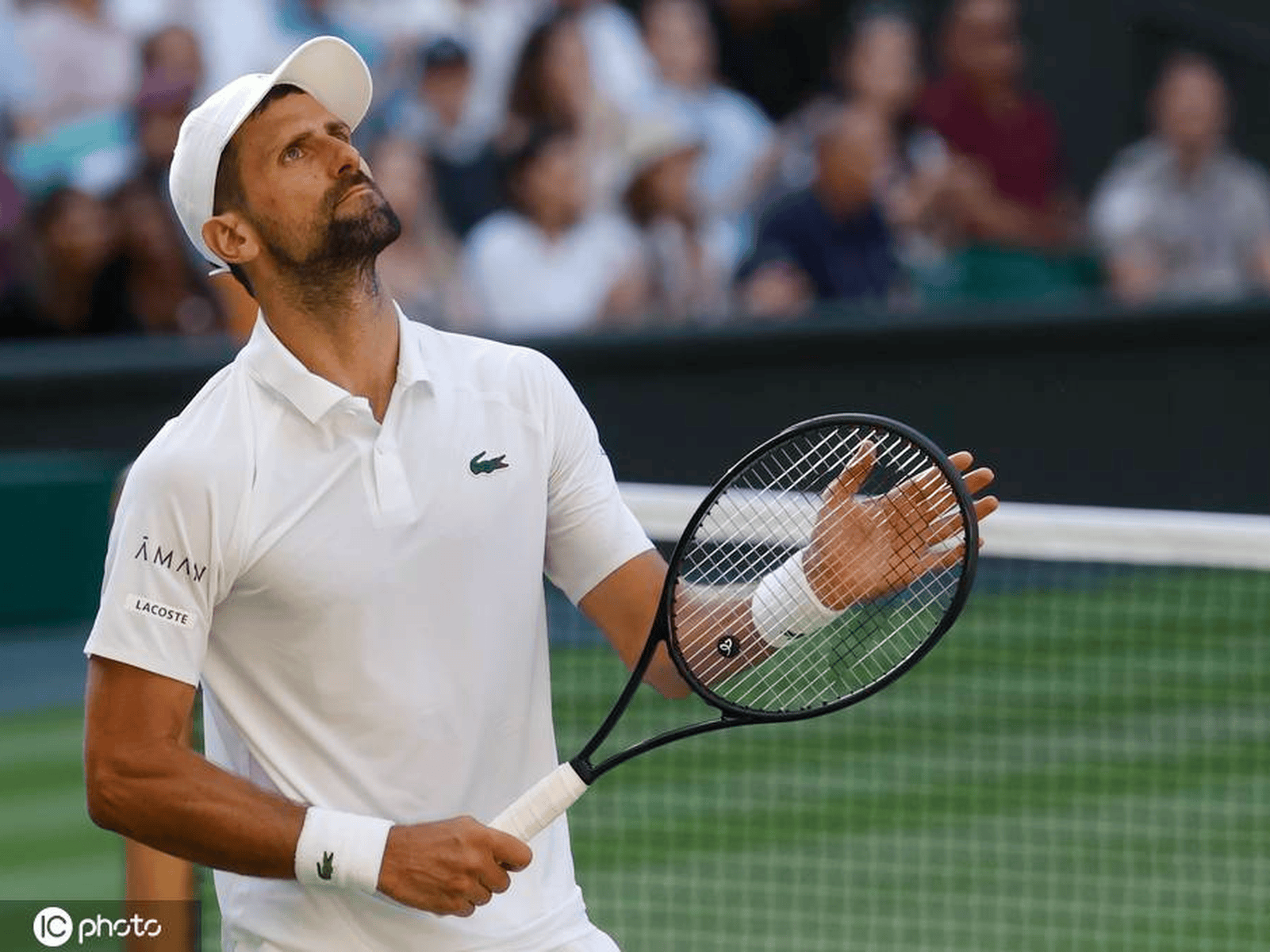 爱游戏娱乐-美网鏖战温网,德约科维奇点燃赛场